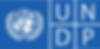 UNDP.png