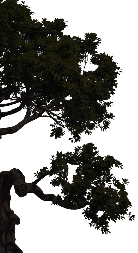 templatesdrive_hyper-realistic_detailed_