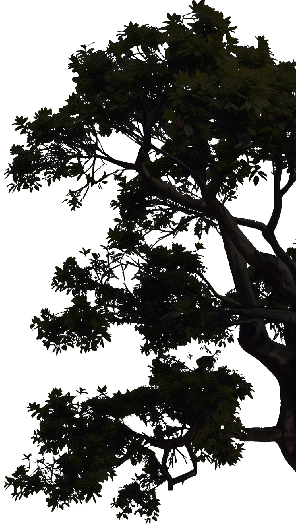 templatesdrive_hyper-realistic_detailed_