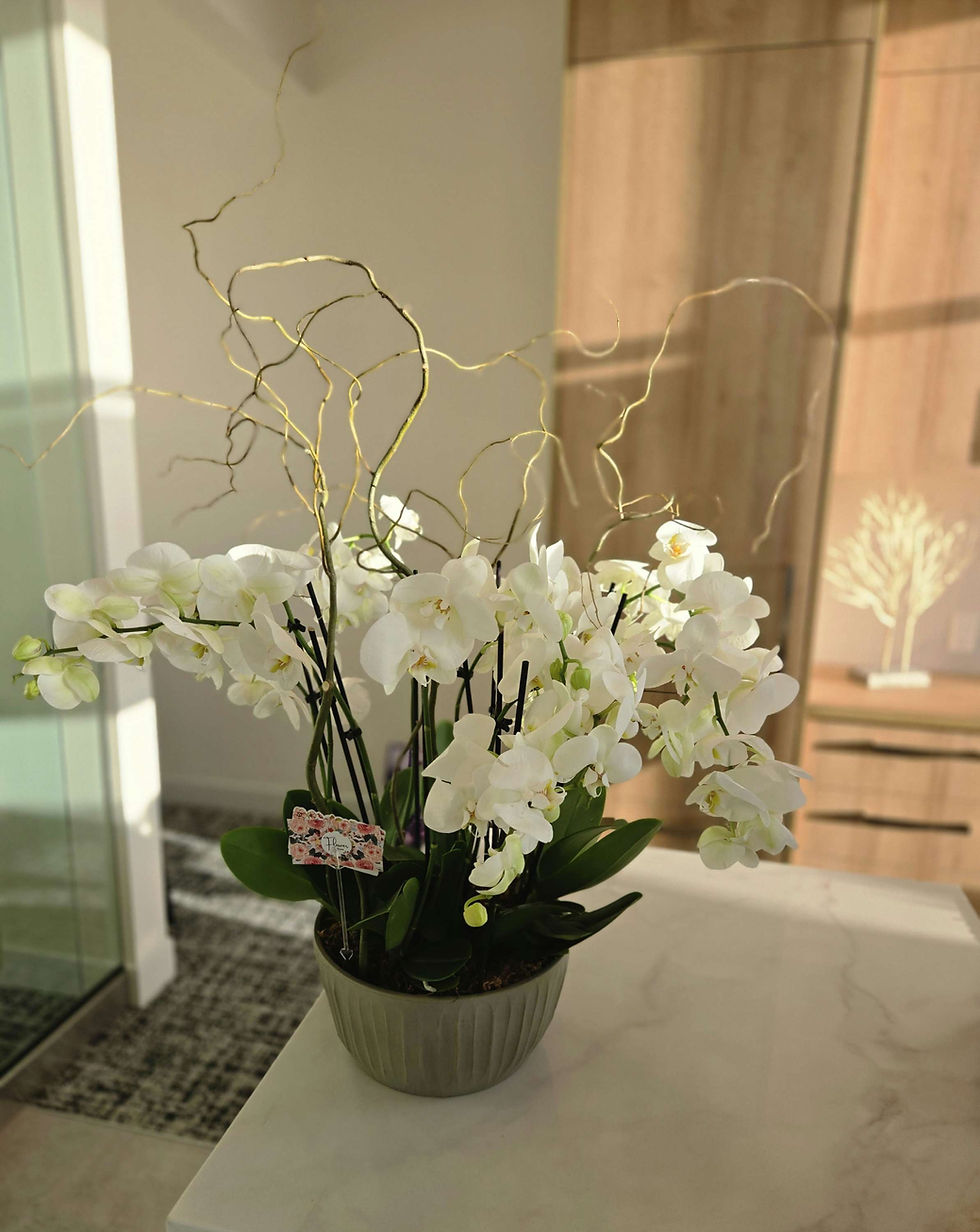 Thumbnail: Double Orchid
