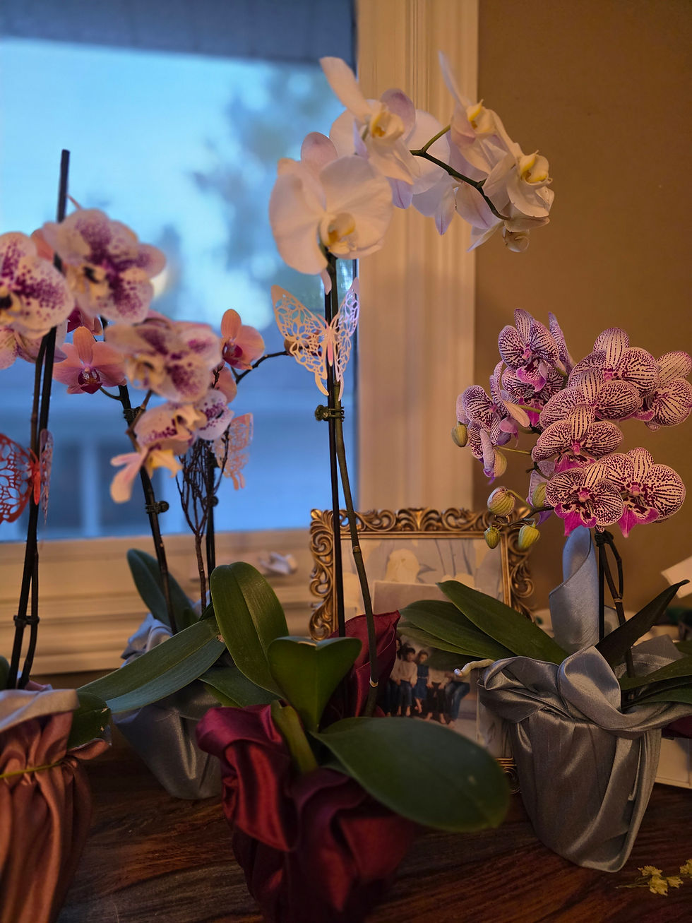 Thumbnail: Double Orchid
