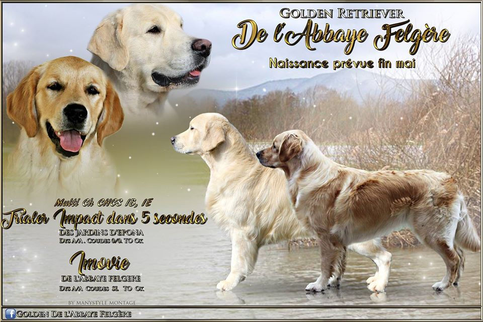 32512173_1785669481490897_50385493060097