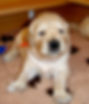 DSC03318.jpg