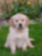 DSC03554.jpg