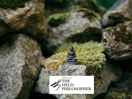 Buddha contemplates building 