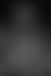 The Invisible Skill: Shokunin Kishitsu