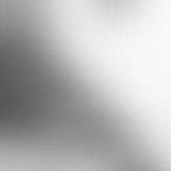 Animosity on the Jobsite Won’t Fix the Stairs