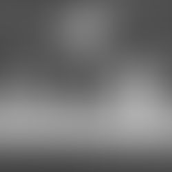 The Temporary Brotherhood