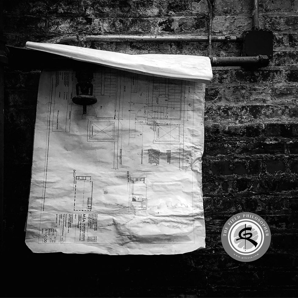 The Field Architect: The Profession We Accidentally Removed.