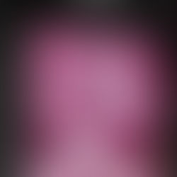 Translation and Identification: Two Ways of Seeing a Drawing