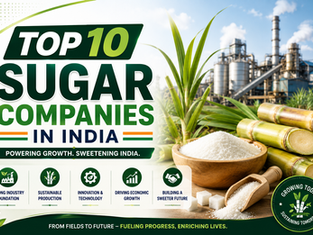 Top 10 Sugar Companies in India
