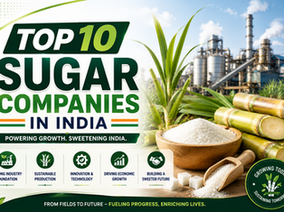 Top 10 Sugar Companies in India