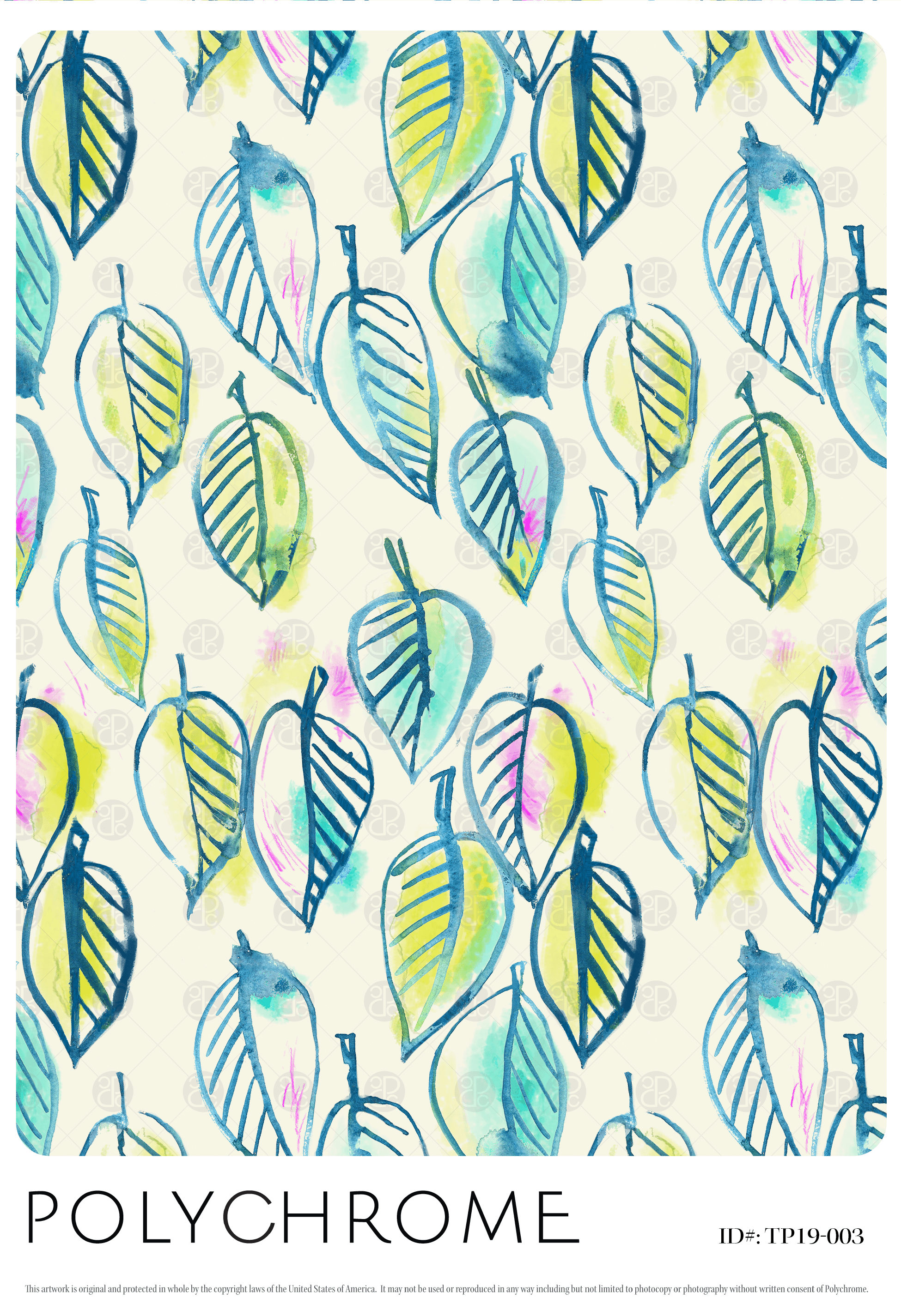 TP19-003 original print pattern