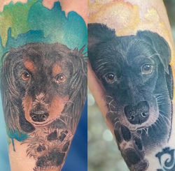 Dog Portraits with Watercolor