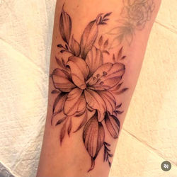 Fine Line Lily