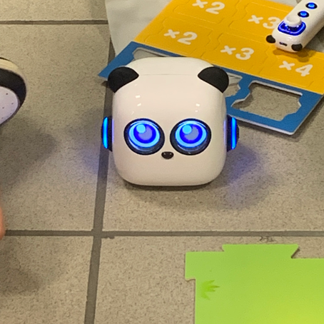 L2 programmeren met m Tiny