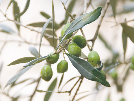 עותק של שלוש טעויות פיננסיות נפוצות שמשקיעים פרטיים עושים – ואיך להימנע מהן