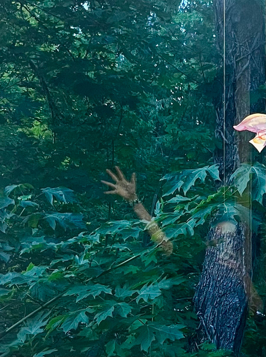 A person is reflected in the glass of a window overlooking trees and greenery.