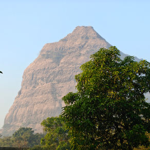 Photo of a mountain with a tree in front.