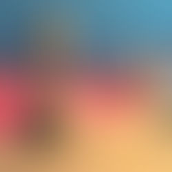 Three pigeons in front of pink rocks, one of them a different style than the other two.