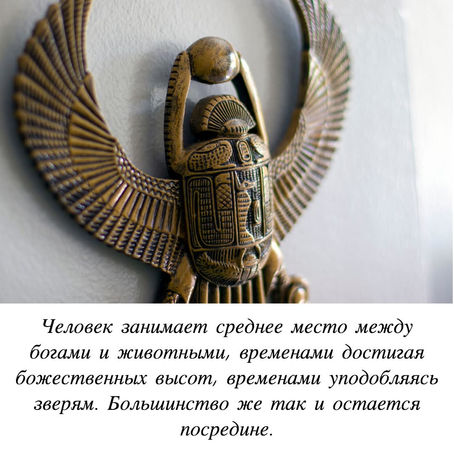 Как действовать