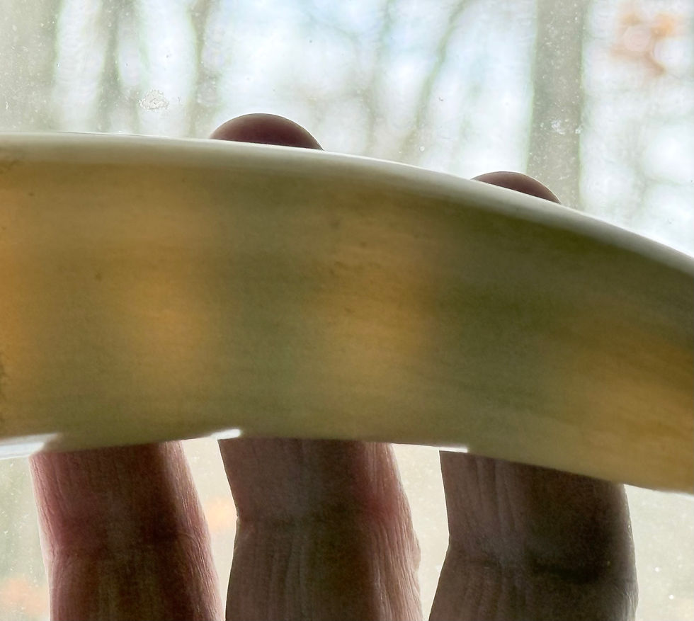 Thumbnail: Carved Spout – Fully Translucent Powder Horn