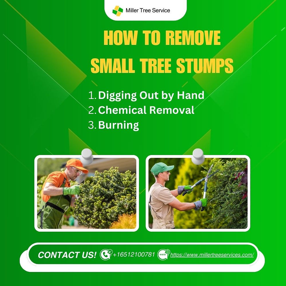 How to Remove Small Tree Stumps