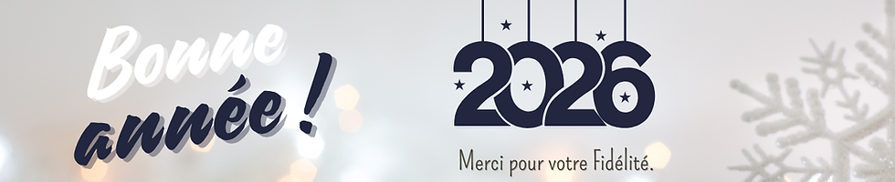 En-tête d'email Bonne Année 2026 Classique Photo Blanc Beige Bleu.png