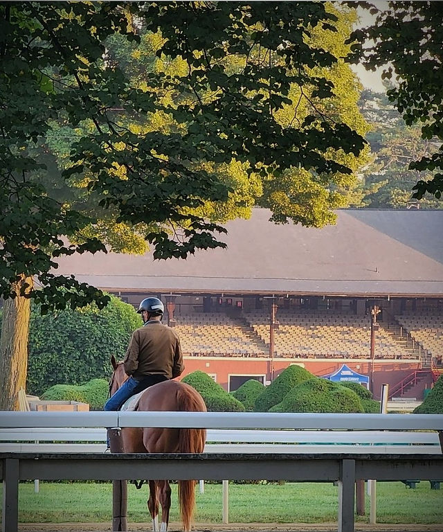 Trainer Barclay Tagg at Sarato