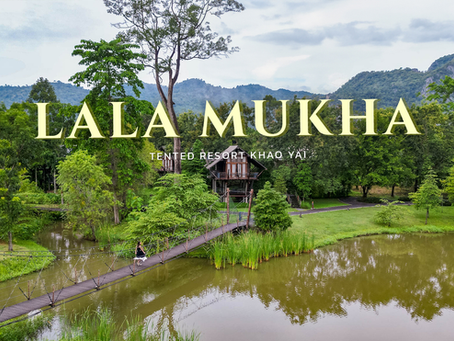 LaLa Mukha แคมป์ปิ้งเขาใหญ่ใกล้ชิดธรรมชาติ