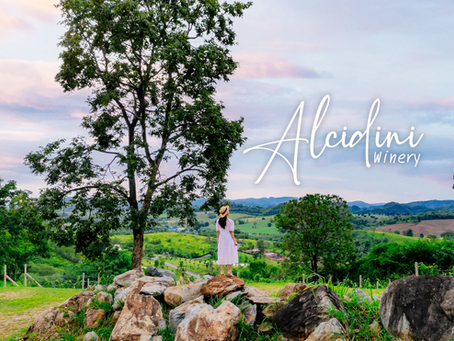 Alcidini Winery ไร่ไวน์ที่เขาใหญ่โคตรน่าไปดูดาว