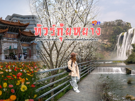 China Sakura Trips ทัวร์กุ้ยหยาง อุทยานซากุระผิงป้า