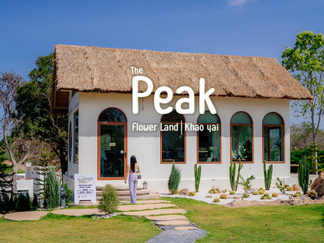 The Peak Flower Land คาเฟ่สวนดอกไม้บนเขาใหญ่