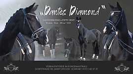 Dantes Diamond_16 zu 9.png