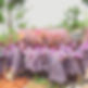girlsa.remini-enhanced.jpg