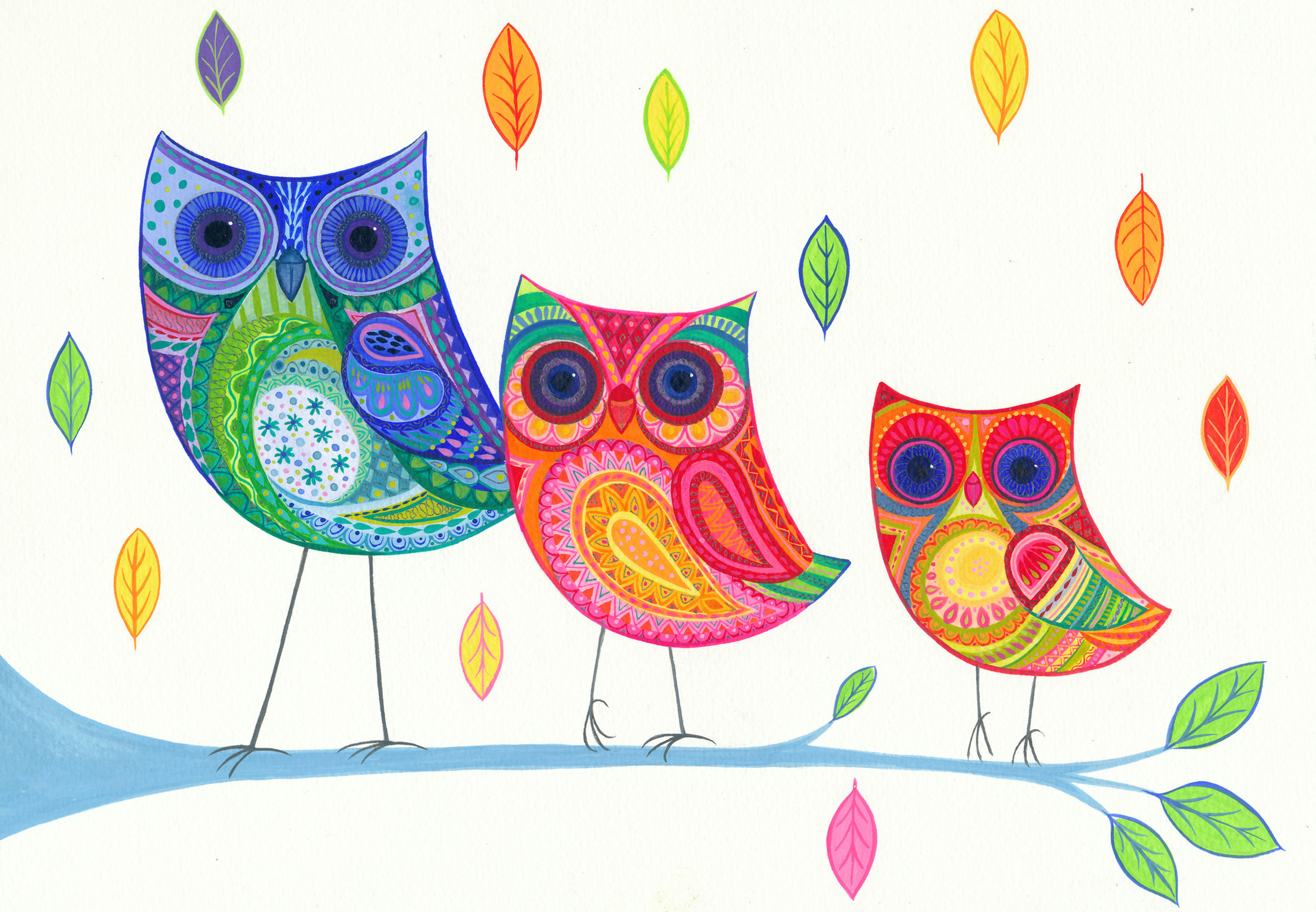 Owls