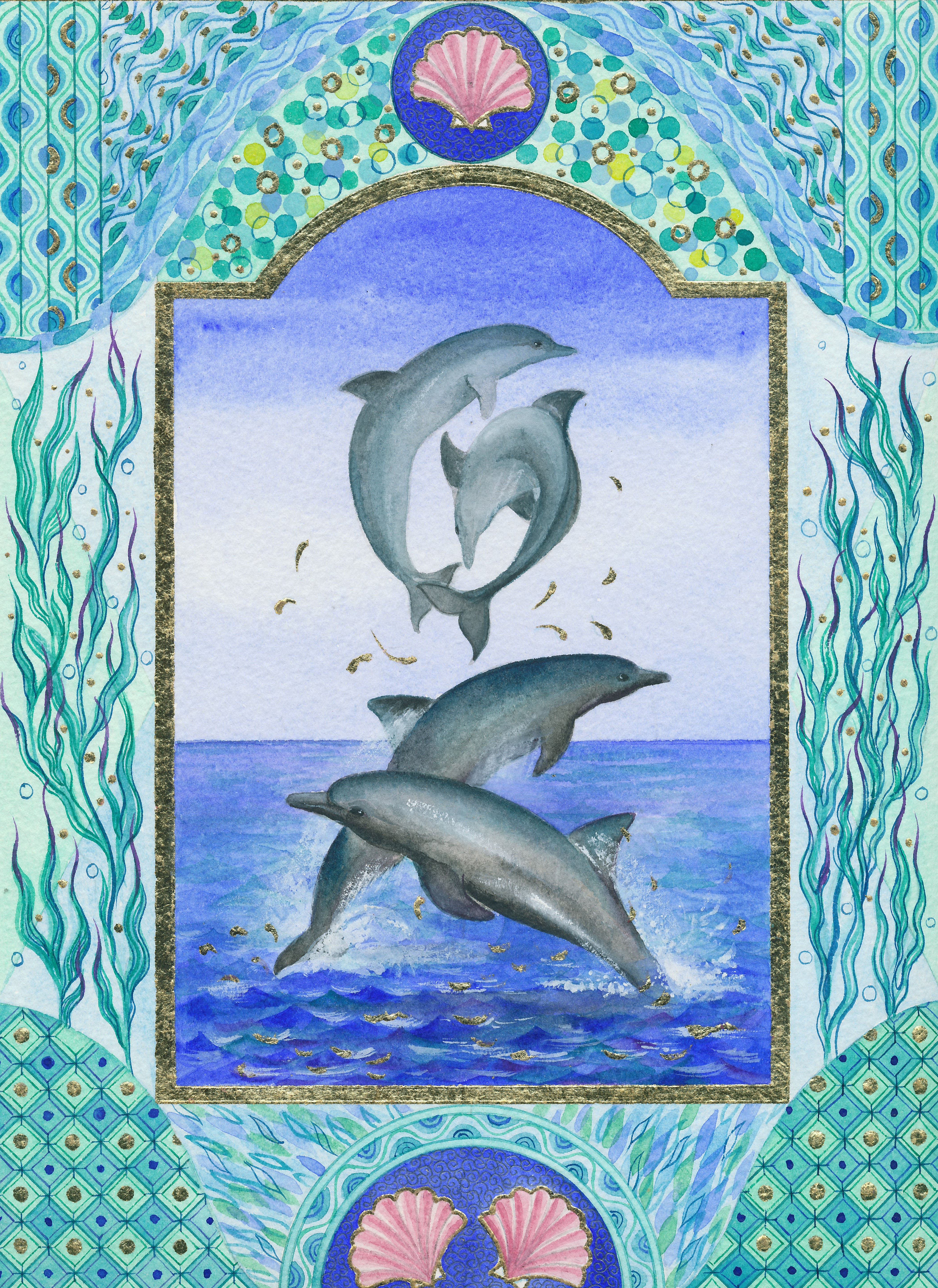 Dolphin Illustration
