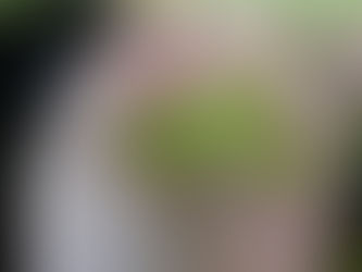 生态研究|中国生态文明建设中的场域生成型方法论研究