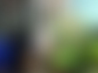 社区分享|森态家陪伴着我们的生活和工作……