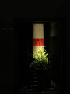 山树文化|文明所临,土德为印。