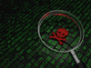 darkweb-image.gif