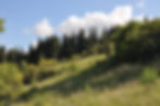 Chingale Field.jpg