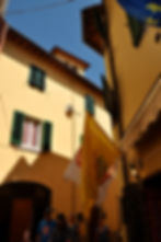 Greve Architecture.jpg