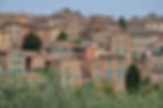 Siena.jpg