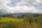 Villa Bennedetta Before Storm.jpg