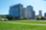 Providence Lawn