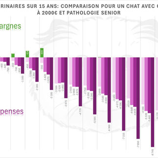 Comparatif mutuel pour un chat ayant un accident en début de vie et une pathologie chronique à l'age senior