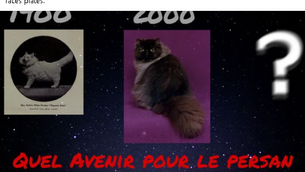 Séminaire ACEP septembre 2023 (l'entre-soi qui tuera le persan)