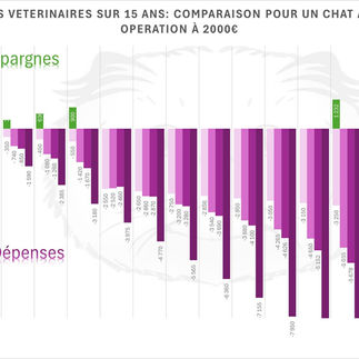 Comparatif mutuel pour un chat ayant un accident dans ses premières années