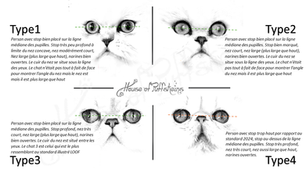 Sondage 2024: le fossé confirmé entre les adoptants et les éleveurs